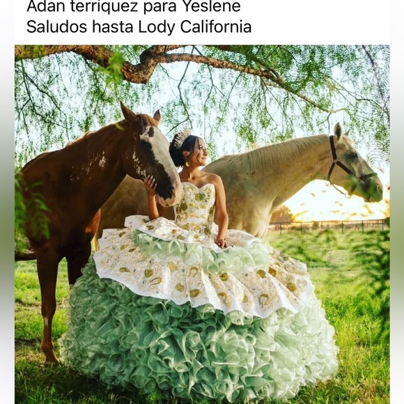Adán Terriquez Designer Quinceañera Dress White & Gold Quince Charro (No Train)